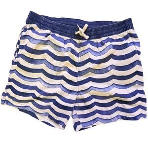 Chubbies Swim Shorts Mens XL Blue Striped Swim Trunks Drawstring Lined